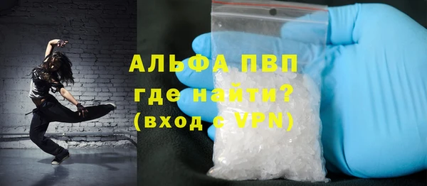 стаф Аркадак