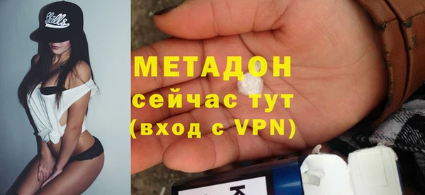 индика Арсеньев
