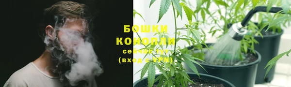 винт Богданович