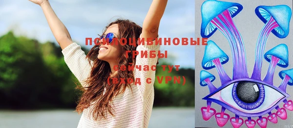 индика Балабаново