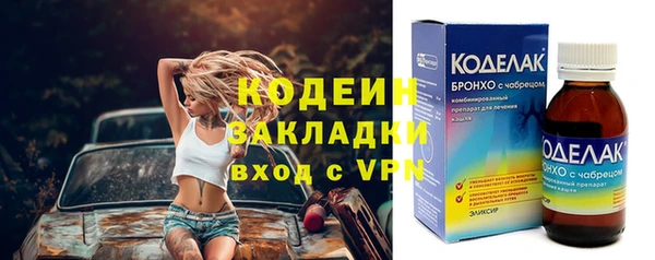 индика Балабаново